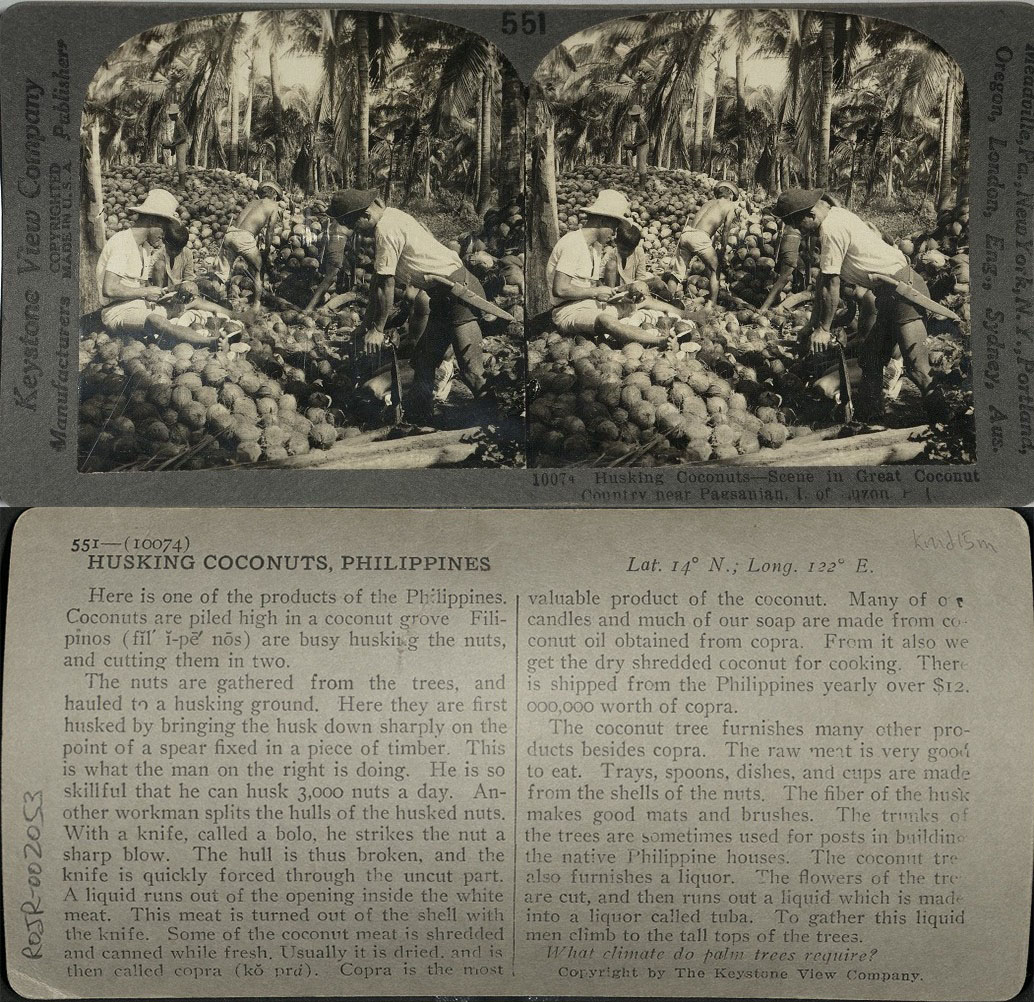 Husking Coconuts – Scene in Great Coconut Country near Pagsanjan, I. of Luzon, P. I.